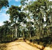 Paddys Ranges State Park - Tourism Gold Coast