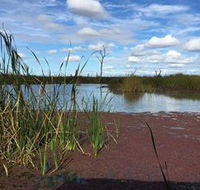Gwydir Wetlands - Tourism Gold Coast