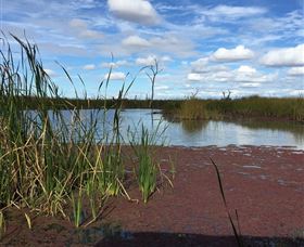 Gwydir Wetlands - Tourism Gold Coast 0