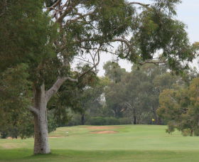 Tocumwal Golf Club - Tourism Gold Coast 2