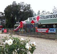 The Big Strawberry - Tourism Gold Coast