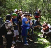 Warrumbungle National Park Discovery Program - Tourism Gold Coast