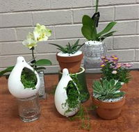 Cobram Florist - Tourism Gold Coast
