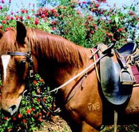 Western Plains Riding Centre - Tourism Gold Coast