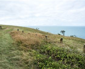 Cape Palmerston National Park - Tourism Gold Coast 3