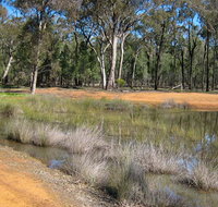 Beni State Conservation Area - Tourism Gold Coast
