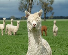 Creswick Woollen Mills - Tourism Gold Coast 1