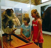 Australian Museum Diprotodon Exhibition - Tourism Gold Coast