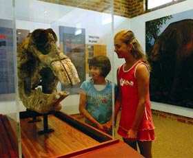 Australian Museum Diprotodon Exhibition - Tourism Gold Coast 0