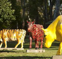 Greater Shepparton's Moooving Art - Tourism Gold Coast