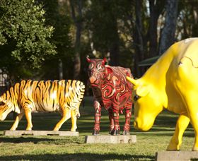 Greater Shepparton's Moooving Art - Gold Coast 0