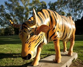 Greater Shepparton's Moooving Art - Gold Coast 1