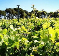 Basalt Wines - Tourism Gold Coast