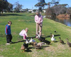 Roy Little Park Merredin - Gold Coast 0