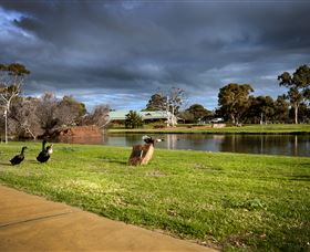 Roy Little Park Merredin - Gold Coast 2