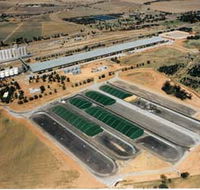 Co-operative Bulk Handling CBH Wheat Storage and Transfer Depot - Tourism Gold Coast