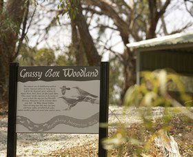 Coolamon NSW Tourism Gold Coast