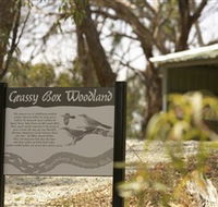 Kindra Forest - Tourism Gold Coast