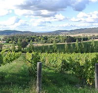 Sassy Wines - Gold Coast