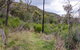 Lynchs Loop Trail - thumb 0