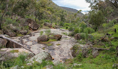 Lynchs Loop Trail - Tourism Gold Coast 1