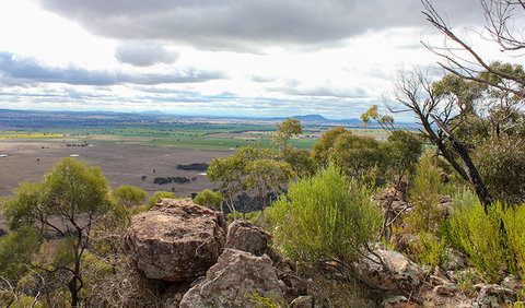 Lynchs Loop Trail - Tourism Gold Coast 3