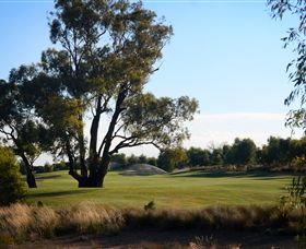 Black Bull Golf Club - Tourism Gold Coast 2