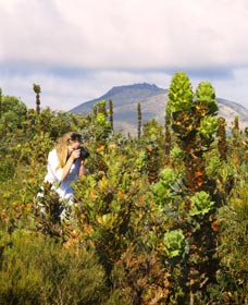 Fitzgerald River National Park - Tourism Gold Coast 2