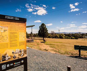 O'Brien's Hill - Tourism Gold Coast 0