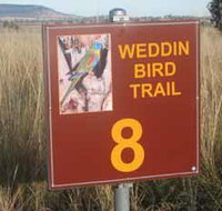 Weddin Bird Trails - Tourism Gold Coast
