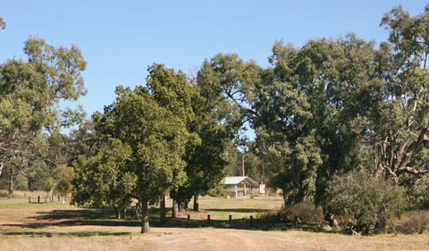 Terry Hie Hie Aboriginal Area - Gold Coast 0
