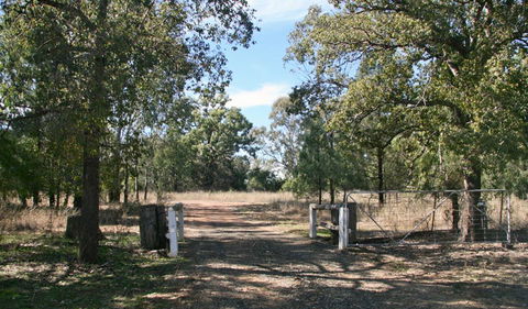 Terry Hie Hie Aboriginal Area - Gold Coast 2