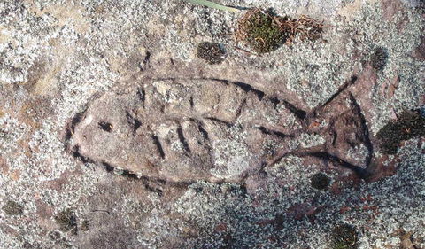 Terry Hie Hie Aboriginal Area - Gold Coast 3