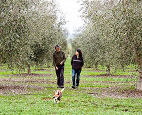 Wollundry Grove Olives - Tourism Gold Coast 3