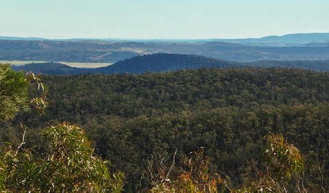 Conimbla National Park - Tourism Gold Coast 1