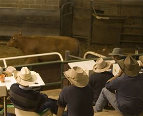 Livestock Marketing Centre - Tourism Gold Coast 2