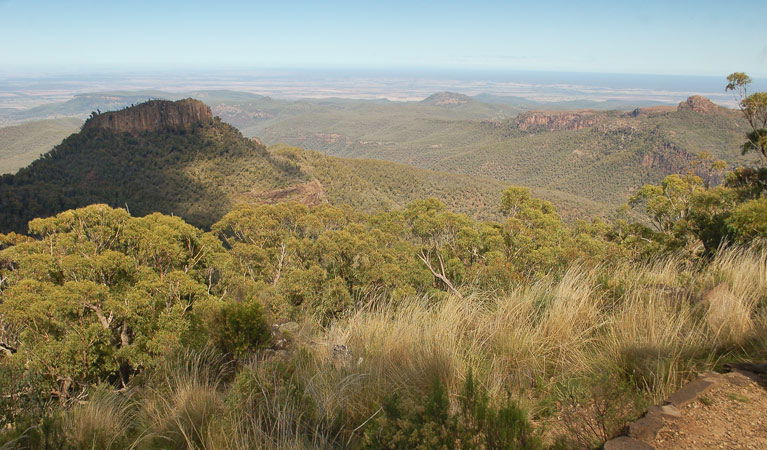 Kaputar NSW Gold Coast