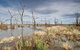 Winton Wetlands Reserve - thumb 4