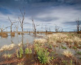 Winton Wetlands Reserve - Tourism Gold Coast 4