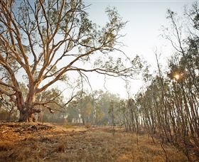 Winton Wetlands Reserve - Tourism Gold Coast 2