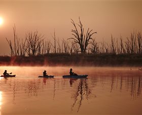 Winton Wetlands Reserve - Tourism Gold Coast 7