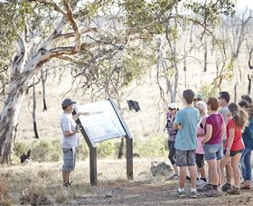 Winton Wetlands Reserve - Tourism Gold Coast 5