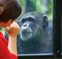 The Rockhampton Zoo - Tourism Gold Coast