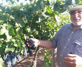 Rosnay Organic Farm And Vineyard - Gold Coast 6