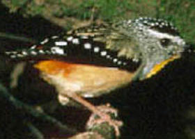 Reef Hills State Park - Tourism Gold Coast 0