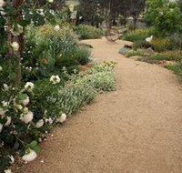 Perennialle Plants Nursery and Garden - Gold Coast