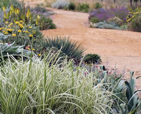 Perennialle Plants Nursery And Garden - Gold Coast 1