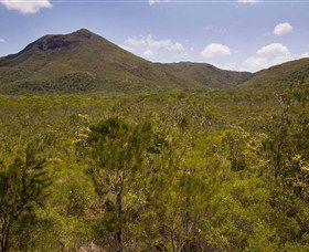 Kutini-Payamu (Iron Range) National Park (CYPAL) - Gold Coast 0