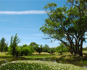 Wirraminna Environmental Education Centre - Tourism Gold Coast 0