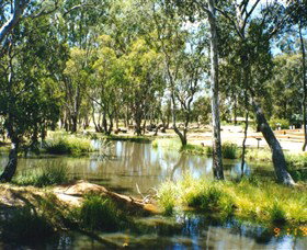 Wirraminna Environmental Education Centre - Tourism Gold Coast 2